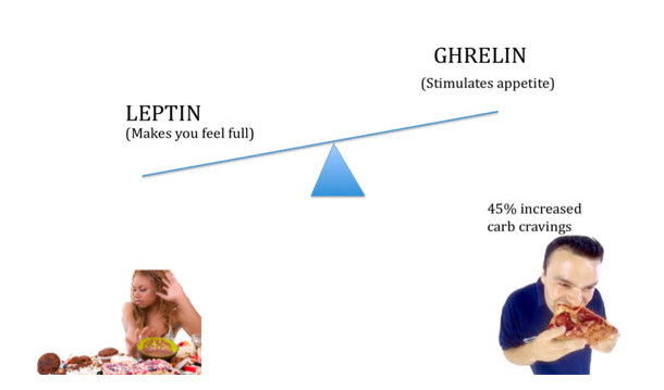 Ghrelin & leptin