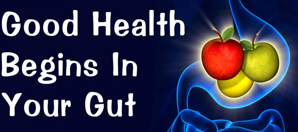 Gut Health