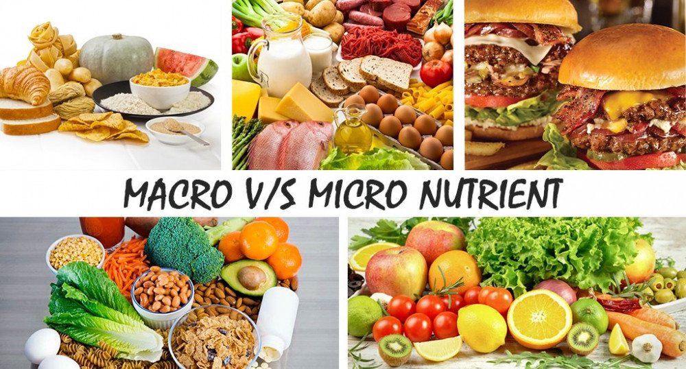 Macro vs Micro Nutrient