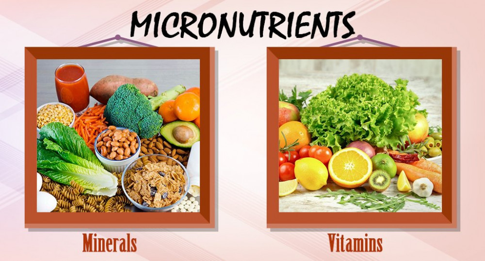 Micro Nutrients