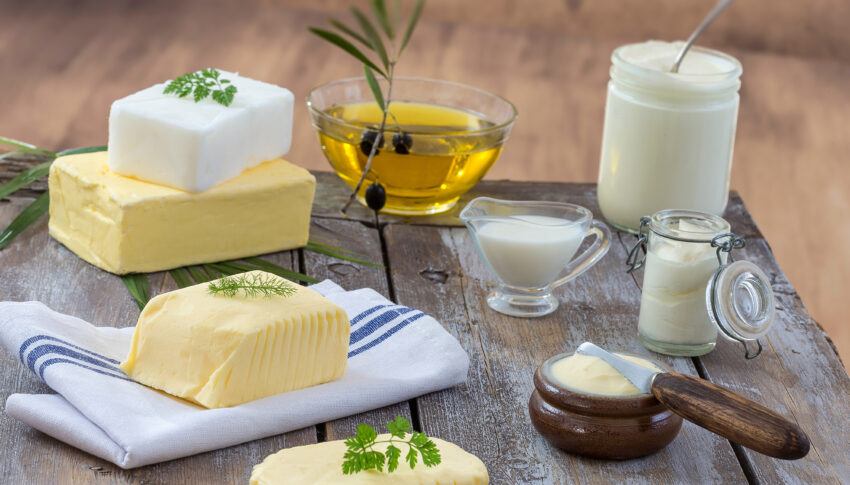 Why Are Fats Important In Our Diet?