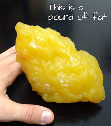 lb Fat