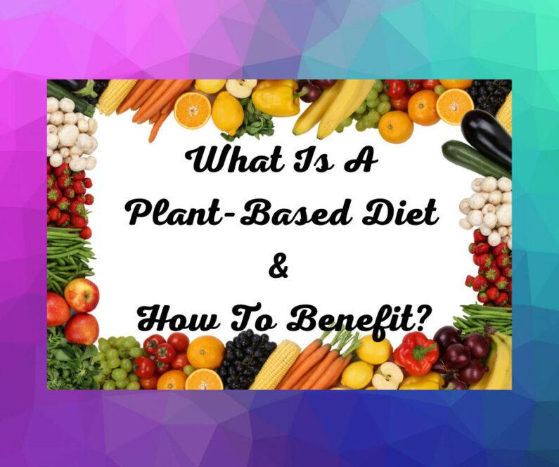 What is a plant based food