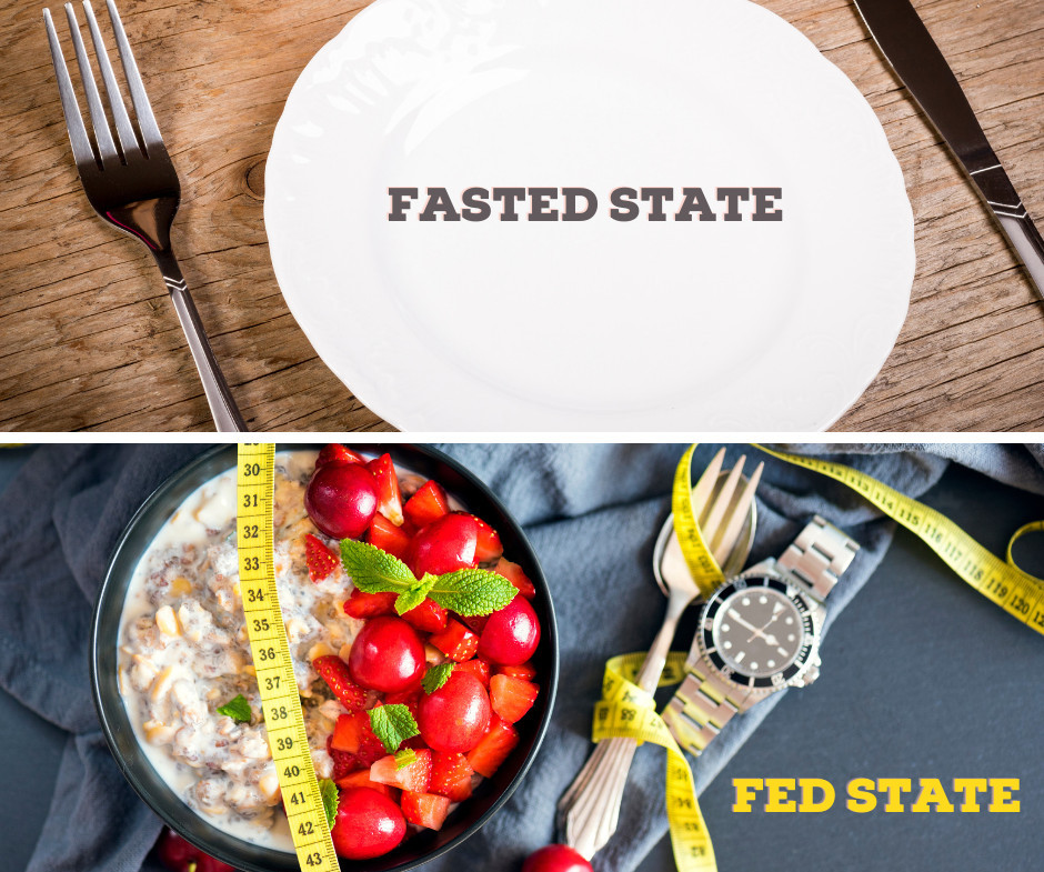 Fasted State vs Fed State