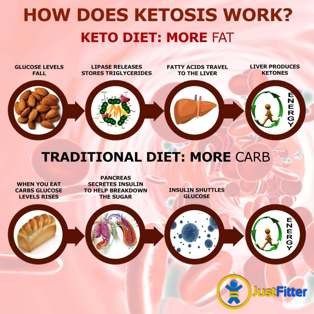 How Do You Know If You Are In Ketosis?